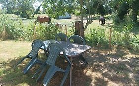 Les Sablines - Maisons T2 à 700m de l'océan - Terrasse et parking